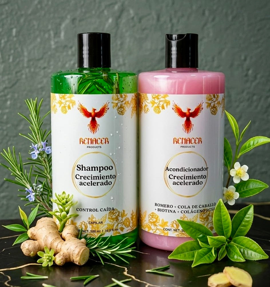 SET* CONTROL CAIDA Y CRECIMIENTO ACELERADO