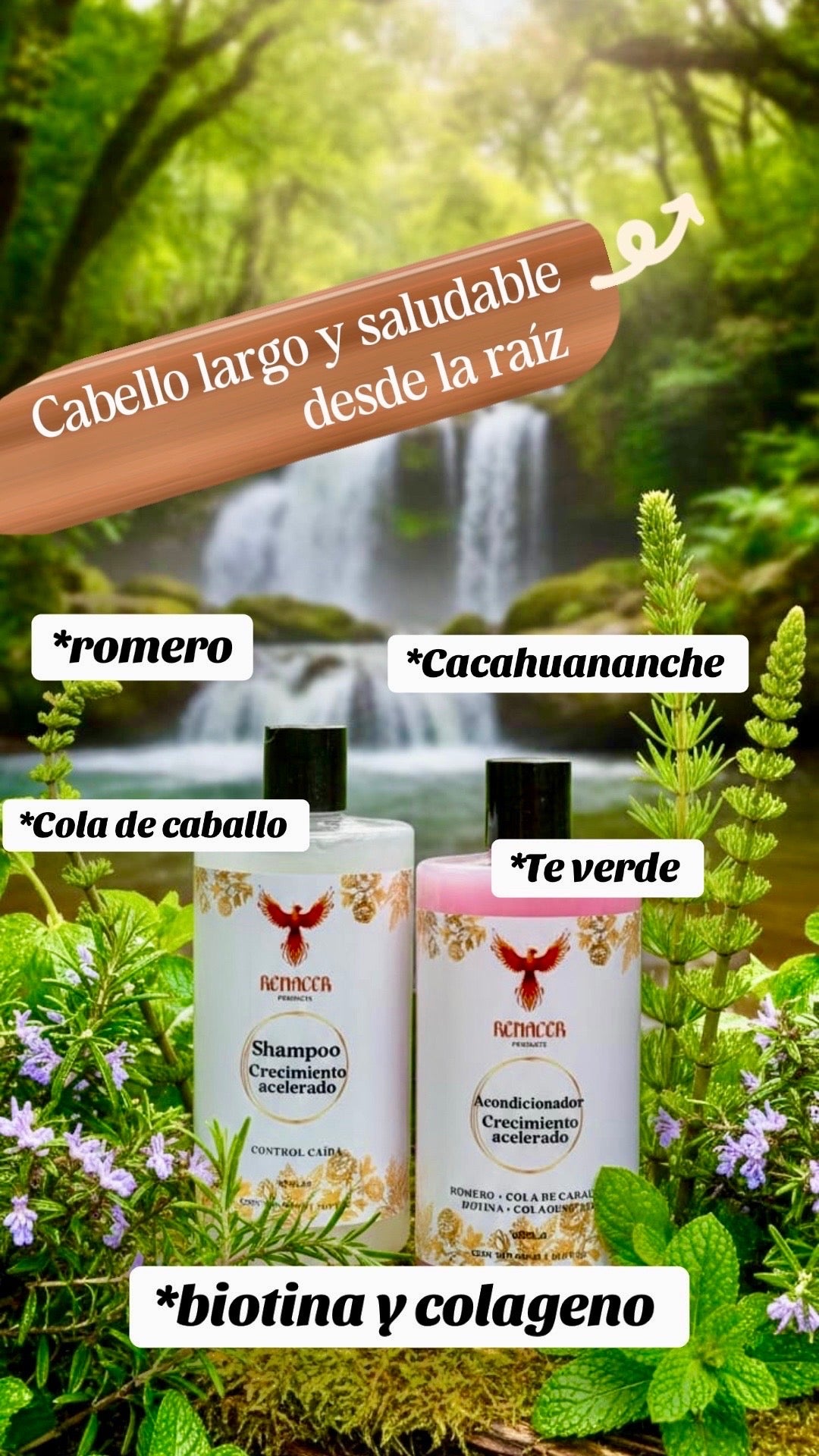 COMBO CRECIMIENTO ACELERADO.