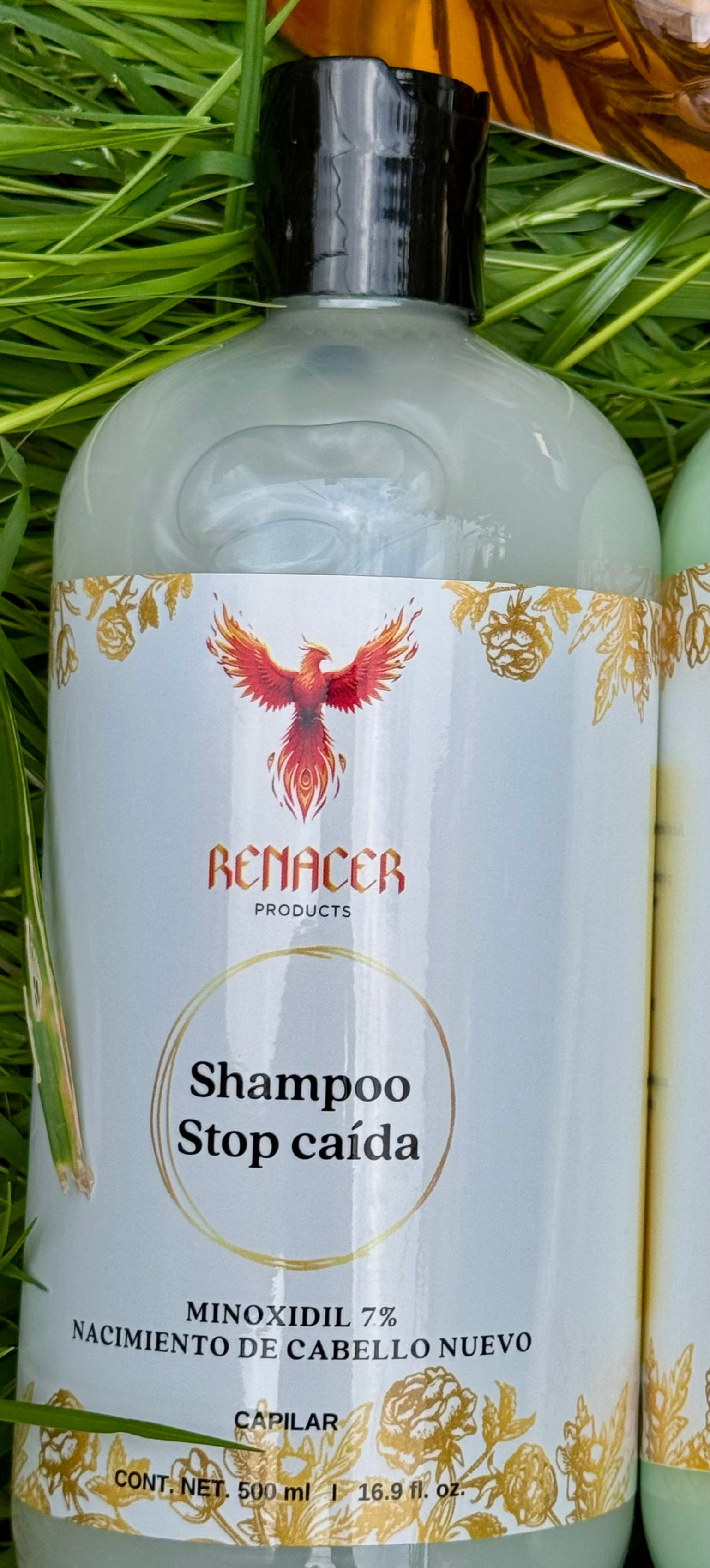 SHAMPOO STOP CAIDA